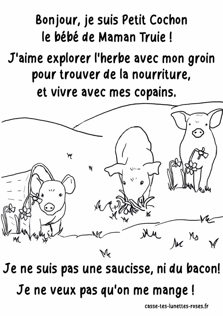 Coloriage Petit Cochon