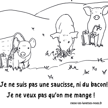 Coloriage Petit Cochon Carré 420