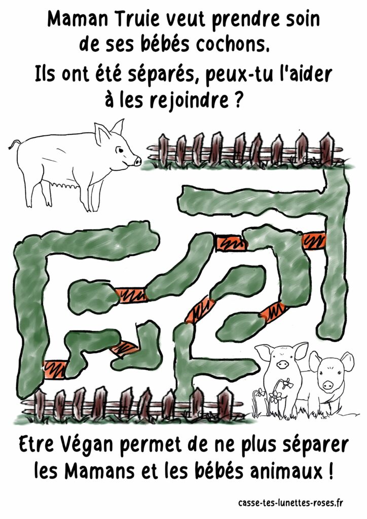 Labyrinthe Truie Bébés